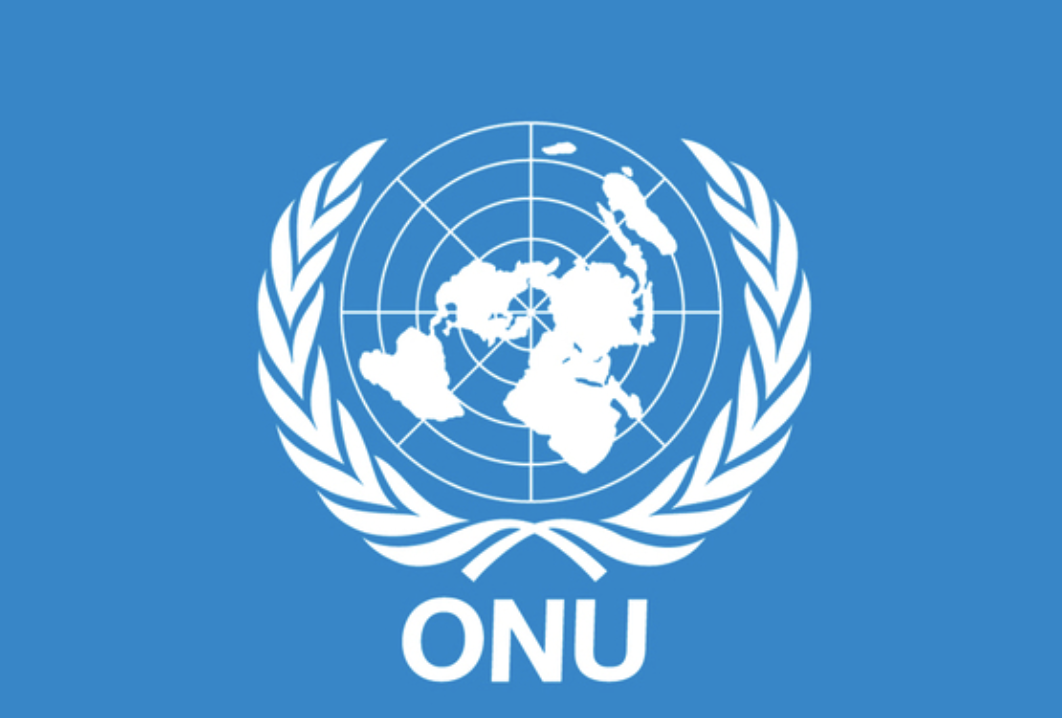 Organización de las Naciones Unidas
